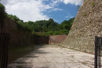  ( © Milan Caha 08/2008)
