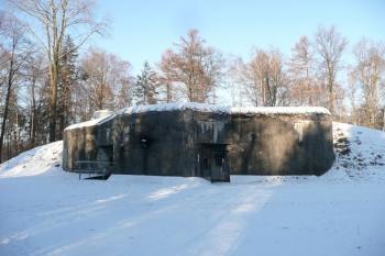 pěchotní srub V oboře od jihu ( © Jan P. Štěpánek 01/2009)