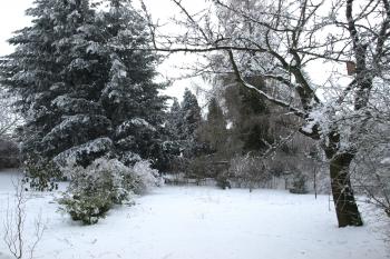 plocha hřbitova ( © Milan Caha 01/2009)