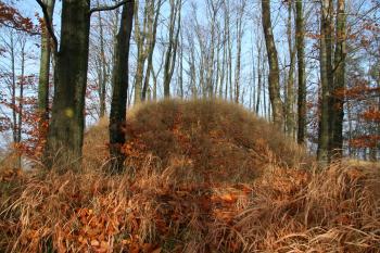 Vniřní pahorek opevnění (© Petr Nožička, 10/2008)