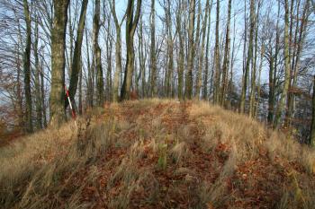 Plocha opevnění vevnitř (© Petr Nožička, 10/2008)