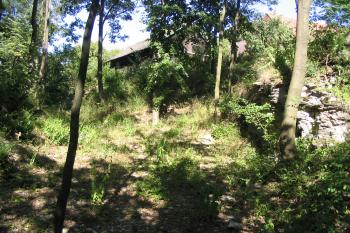 Příkop tvrze (© Petr Nožička, 8/2007)