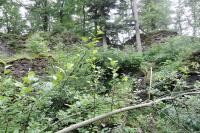 Szczerba