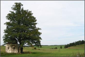 Kaplička v poli u Kopečku ( © Petr Turyna 08/2005)