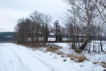 hřbitov od silnice ( © Milan Caha 01/2009)