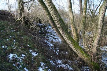Příkop tvrze od cesty (© Petr Nožička, 01/2009)