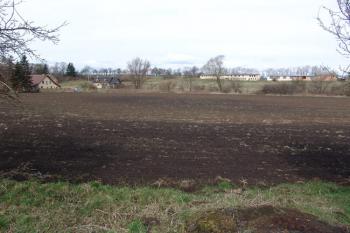 Pohled od jihovýchodu na tvrziště ( © Roman Řezáč 03/2008)