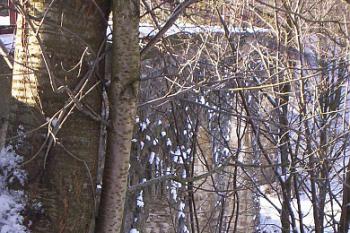 Zadní strana viaduktu v porostu (© Petr Zezula, 01/2009)