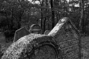  (© Jakub Kostur, 05/2007)