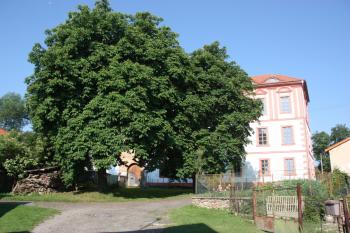 Pohled přes nádvoří (od východu) ( © Ivan Grisa 07/2010)