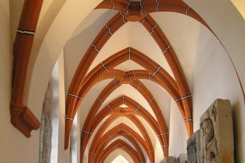 ambit (© Karel Husák, 08/2006)