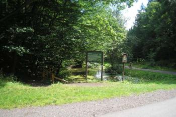 celkový pohled od turistické cesty Turnov-Frýdštejn ( © Ondřej Štěpánek 08/2008)