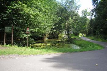 celkový pohled od turistické cesty Turnov-Frýdštejn ( © Ondřej Štěpánek 08/2008)
