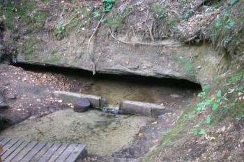 místo vyvěrání ( © Ondřej Štěpánek 08/2008)