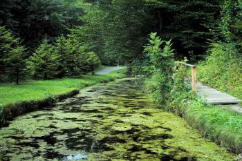 celkový pohled od turistické chaty Bartošova pec ( © Ondřej Štěpánek 08/2008)
