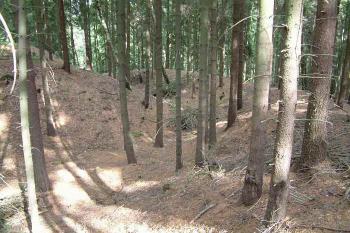 Nejspíš hradní příkop - jižní strana (© Michal Špiřík 06/2004)