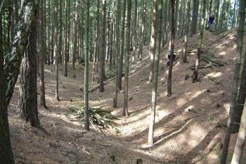 Hradní příkop - severní strana (© Michal Špiřík 06/2004)