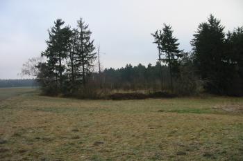 pohled na tvrziště od jz. (© D Dohňanský, 01/2016)