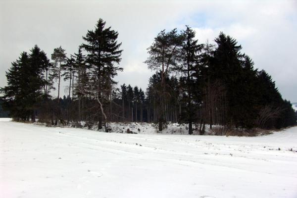 Štítky