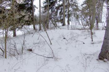 Zbytky příkopů a valů na východní straně ( © Roman Řezáč 02/2009)