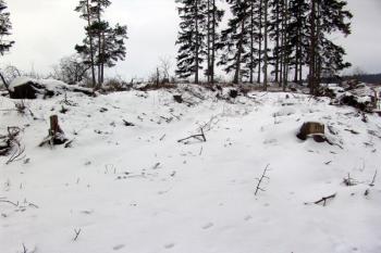 Vnější, téměř zaniklý příkop  na severovýchodní straně ( © Roman Řezáč 02/2009)