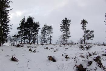 Celkový pohled od severovýchodu ( © Roman Řezáč 02/2009)