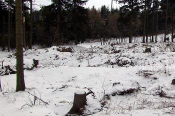 Dvojice příkopů s mezilehlým valem na severovýchodní straně ( © Roman Řezáč 02/2009)