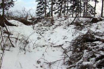 Vnitřní příkop na severní straně ( © Roman Řezáč 02/2009)
