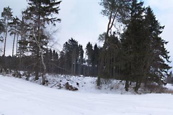 Celkový pohled od jihozápadu (panorama) ( © Jaroslav Řezáč 02/2009)