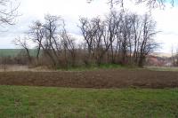 Brankovice