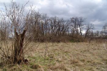 Celkový pohled od severozápadu na jádro tvrze ( © Roman Řezáč 03/2008)