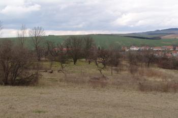 Pohled od nádraží na plochý výběžek, v jehož cípu je tvrziště ( © Roman Řezáč 03/2008)