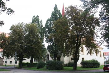 Kostel od západu ( © Ivan Grisa 08/2010)