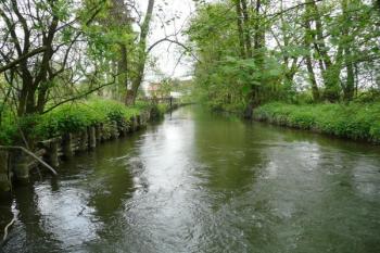 mlýnský náhon nad mlýnem  ( © Jan P. Štěpánek 05/2008)