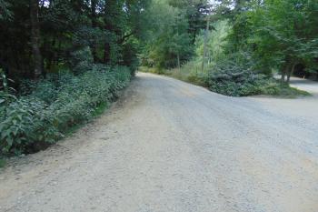 Příjezdová cesta k lomu (© Dušan Dohňanský  07/2021)