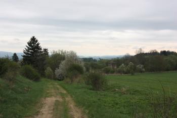 Tvrz od západu ( © Ivan Grisa 05/2010)