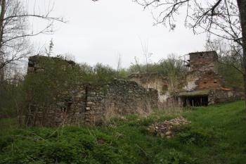 Tvrz od plotu přes cestu ze Světlíka ( © Ivan Grisa 05/2010)