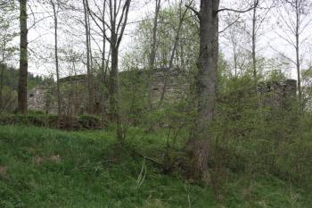 Zřícenina hospodářské budovy severně od cesty ze Světlíka ( © Ivan Grisa 05/2010)