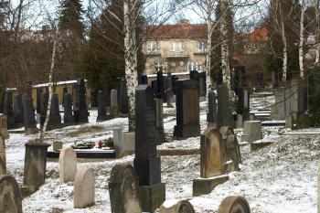 novější část hřbitova ( © Milan Caha 02/2009)