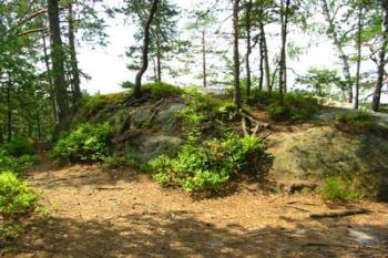 Brtnický hrádek (2003 ©Puffin Puffin)