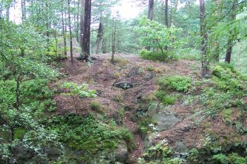 Brtnický hrádek (© Michal Brůža, 07/2009)