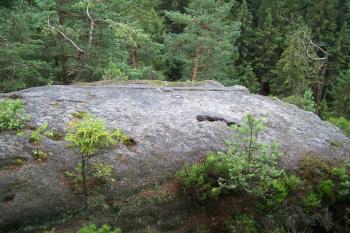 Brtnický hrádek (© Michal Brůža, 07/2009)
