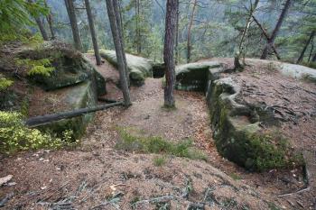 Podvalí hlavní stavby hradu s lůžky po trámech (od severovýchodu) ( © Filip Matoušek 11/2006)