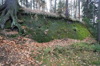 Přitesaná stěna v severní části předhradí, zřejmě v prostoru pův. přemostění příkopu ( © Filip Matoušek 11/2006)