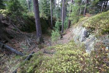 První příkop, chránící lokalitu (předhradí) od jihu ( © Filip Matoušek 11/2006)