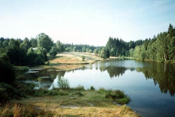 Kyjovský rybník (© René Volfík 01/2004)