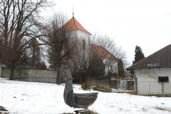 Kostel sv. Martina od jihozápadu (a husa) ( © Milan Caha 01/2009)