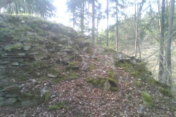  (© Zdeněk Coněk, 04/2015)