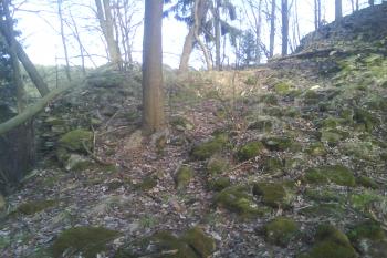  (© Zdeněk Coněk, 04/2015)