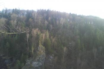  (© Zdeněk Coněk, 04/2015)